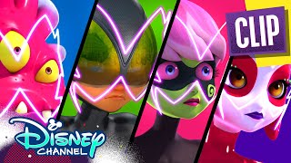 Gang of Secrets  Miraculous Ladybug  disneychannel x Miraculous [upl. by Fenner]