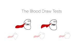 Complete Blood Count CBC amp Peripheral Blood Film [upl. by Aerbas168]