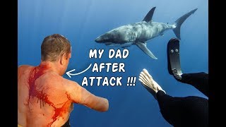 SHARK ATTACK EGYPT 2018 [upl. by Attenweiler]