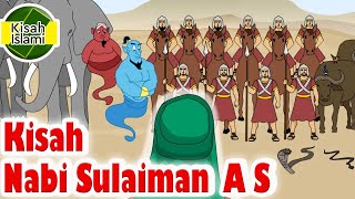 Nabi Sulaiman A S  Kisah Islami Channel [upl. by Dimitri]