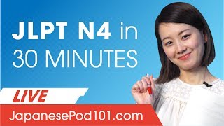 JLPT Level N4 How to Prepare Your Japanese Exam [upl. by Erdnuaed931]