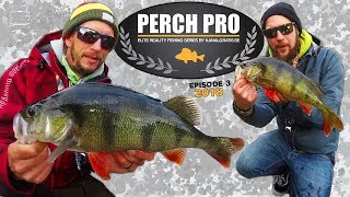 Perch Pro 2018  EPISODE 3  with French German amp Russian subtitles [upl. by Player912]