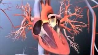 Pulmonary Artery Catheterization [upl. by Gillette]