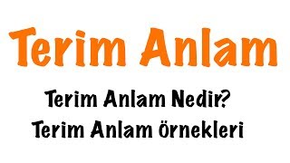 Terim Anlam Nedir Terim Anlam Konu Anlatımı [upl. by Aivan]