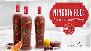 Ningxia Red A Seed to Seal Story  Young Living Essential Oils [upl. by Atalante]