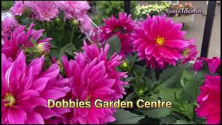 Visited Dobbies Garden Centre [upl. by Ecnarretal]