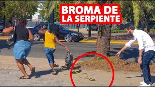 Las Mejores BROMAS De La SERPIENTE l Humor l Videos De Risa [upl. by Magdala362]