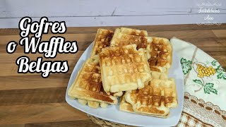 GOFRES BELGAS CASEROS Fáciles Siempre me piden esta receta❗ [upl. by Eenaej524]