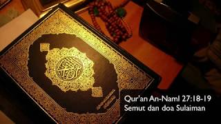 Ayat Quran Pilihan An Naml 27 18 19 Semut dan Doa Sulaiman [upl. by Jaquiss424]