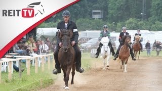 Gangpferdeprüfung  die Isländer zeigen ihr Können auf der EQUITANA Open Air 2012 [upl. by Thomajan]