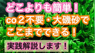 【どこよりも簡単 満足できる水草水槽レイアウト】プロが実践しながらやさしく解説いたします【co2不要、大磯砂】 [upl. by Lekym]