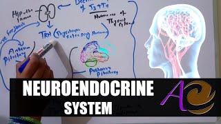 Surgery for Neuroendocrine Tumors [upl. by Gruchot]