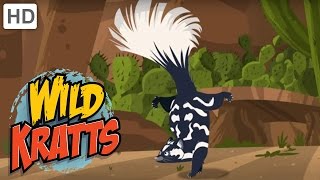 Wild Kratts  You Have Been Skunked [upl. by Lokim]