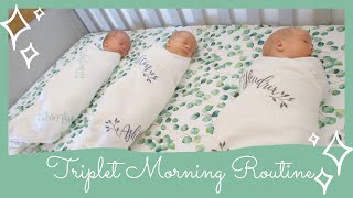 Newborn Triplets Morning Routine [upl. by Ajna339]