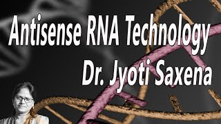 Antisense RNA Technology  BIOTECH MADE EASY [upl. by Nealey464]