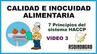 7 Principios del Sistema HACCP ✔️ Calidad e Inocuidad Alimentaria 🍎🍏 VIDEO 33 [upl. by Midas]