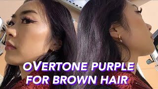 DYING DARK HAIR PURPLE NO BLEACH [upl. by Rik]