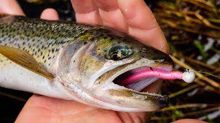 How To Fish MICRO Worms For TROUT In Creeks Rivers amp Streams [upl. by Katrina936]