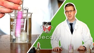 Decay  GCSE Biology Required Practical [upl. by Atrim]