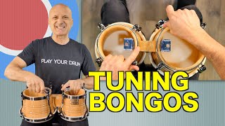 How to Tune Bongos  Tutorial [upl. by Keary]