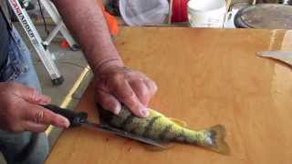 How to clean a Perch with no waste [upl. by Giselbert]